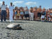 Bambini e turisti applaudono il ritorno di Luciana nel Tirreno