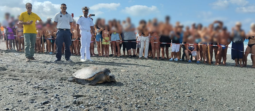 Bambini e turisti applaudono il ritorno di Luciana nel Tirreno