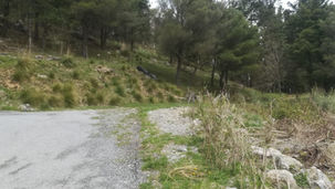 Verbicaro, ex discarica: rifiuti nelle Marche. Interviene l'amministrazione