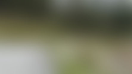 Verbicaro, ex discarica: rifiuti nelle Marche. Interviene l'amministrazione