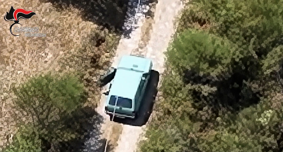 Incendio boschivo a Morano Calabro, un aeromobile riprende l’accensione: arrestato un 56enne