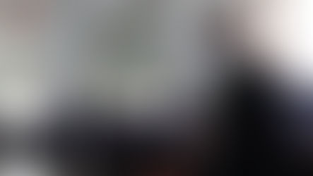 Ambiente: operazione "Deep 3" dei carabinieri in tre province - Video