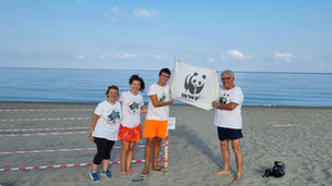 Una caretta caretta nidifica sulla spiaggia di Bonifati