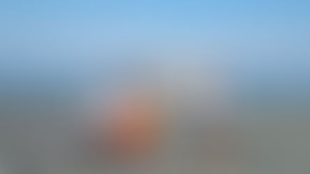 Una caretta caretta nidifica sulla spiaggia di Bonifati