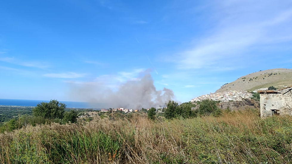 Chiusura strada statale 504 di Mormanno a Santa Domenica Talao per albero in fiamme
