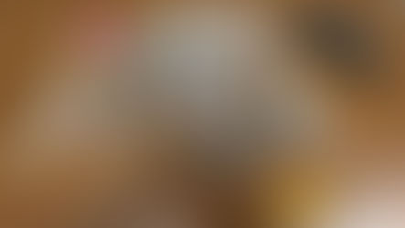 Militari Guardia di Finanza Cosenza operazione antidroga Corigliano-Rossano