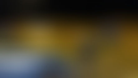 Operazione "Alto Impatto”: controlli a Cetraro, Cosenza, Corigliano Rossano