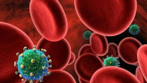 Autopsie e indagini sul caso botulino a Diamante, Procura di Paola