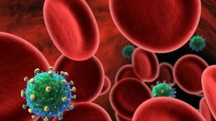 Autopsie e indagini sul caso botulino a Diamante, Procura di Paola