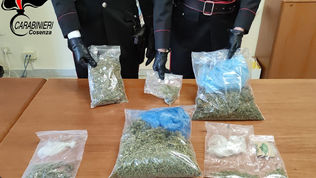 Belsito: marijuana nell'abitazione: un arresto e una denuncia