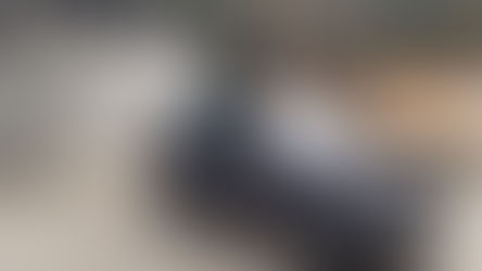 Corigliano Rossano: abusivismo edilizio: sigilli a fabbricati su suolo comunale