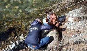 I carabinieri per la tutela del patrimonio culturale recuperano nel fiume Savuto manufatto granitico
