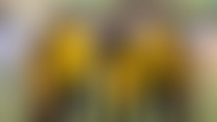 Pallavolo, la De Stefano volley di Scalea inizia bene il cammino in I divisione