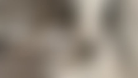 Tensioni dopo Paolana-Rossanese: chiusura temporanea del settore ospiti dello stadio Tarsitano