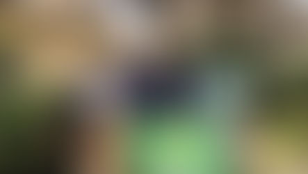 Elezioni: ai Verdi calabresi non piace il tandem Pd-M5S