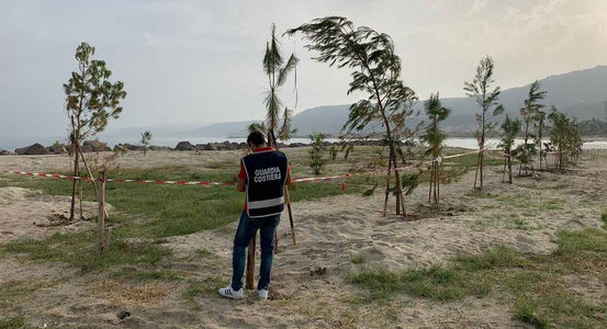Vibo Valentia, piante in area demaniale. Denunciato il committente dei lavori per l'occupazione