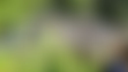 Buonvicino, va a recuperare il drone e muore cadendo in un dirupo