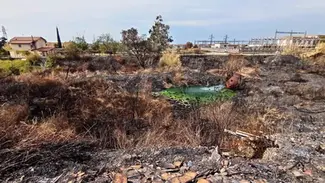 Scalea, liquidi verdi vicino alla ferrovia: Italia Nostra chiede verifiche