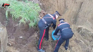 Scoperto un arsenale nascosto sotto terra, armi da guerra e cocaina a Gioia Tauro 🖥