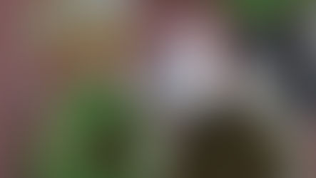 Corigliano Rossano, droga: arrestato un insospettabile bracciante agricolo