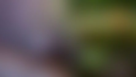 San Sostene (CZ): a fuoco un escavatore nel parco giochi