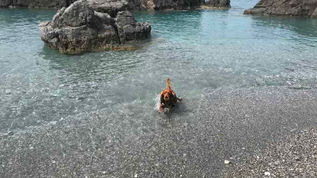 Scalea, turismo non solo agosto in Riviera: le riflessioni di Giorgio Formica