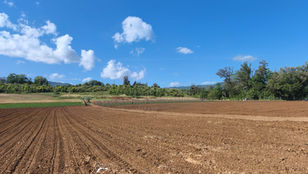 L'area degli scavi archeologici a Laino Borgo
