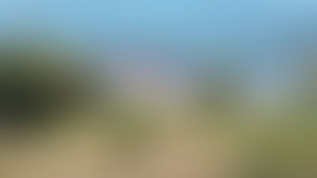 Scalea, operazione dopo il tramonto: liberate dalla polizia locale le spiagge occupate