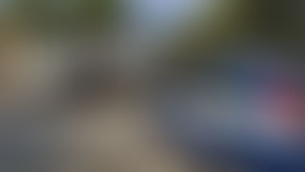 Scalea, sequestrati ombrelloni e sedie alla "sicculilla"