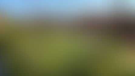 Recinzione ferroviaria danneggiata vicino al parco giochi di Sangineto con accesso ai binari