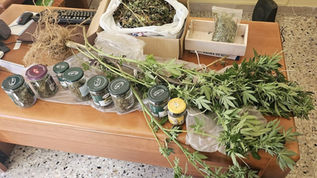 Droga, fermato un uomo a Rogliano per spaccio, disposto l'obbligo di firma