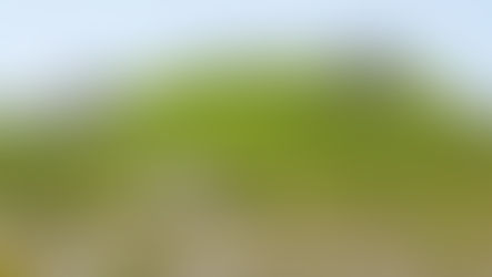 Ex discarica di Scalea, ambientalisti al comune ricevuti dal subcommissario