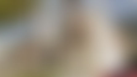 Coprifuoco per i minori di 14 anni a Praia a Mare