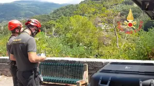 Fuscaldo, Tecnam disperso: le celle restringono le ricerche sui monti