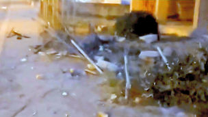 Tortora incidente autonomo