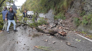 Massi e alberi sulle strade a Verbicaro”