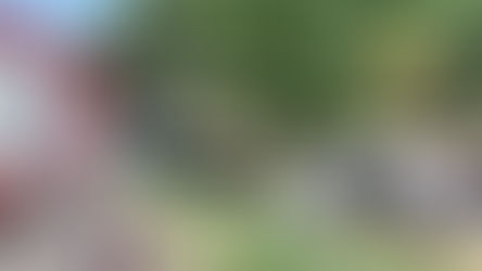 Girifalco, incidente: muore un giovane di 16 anni. Auto contro un albero