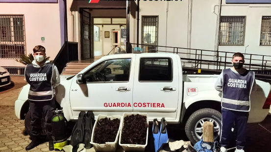 Corigliano Calabro, la Guardia costiera sequestra 1.800 ricci di mare a Trebisacce