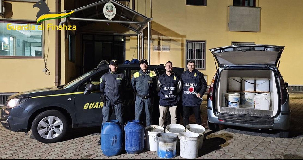 La Guardia di finanza prosegue l'attività di controllo sulla pesca illegale: a Corigliano-Rossano, sequestrati 600 Kg di novellame di sarda conosciuta come bianchetto