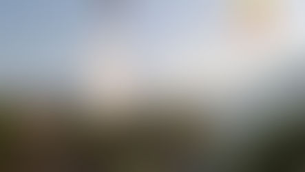 Emergenza incendi: il punto dei Vigili del fuoco - VIDEO