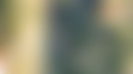 recupero conducente mezzo finito in scarpata a Catanzaro