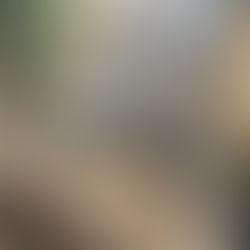 Vigili del fuoco impegnati nell’area della frana a Cattolica di Stilo, in provincia di Reggio Calabria