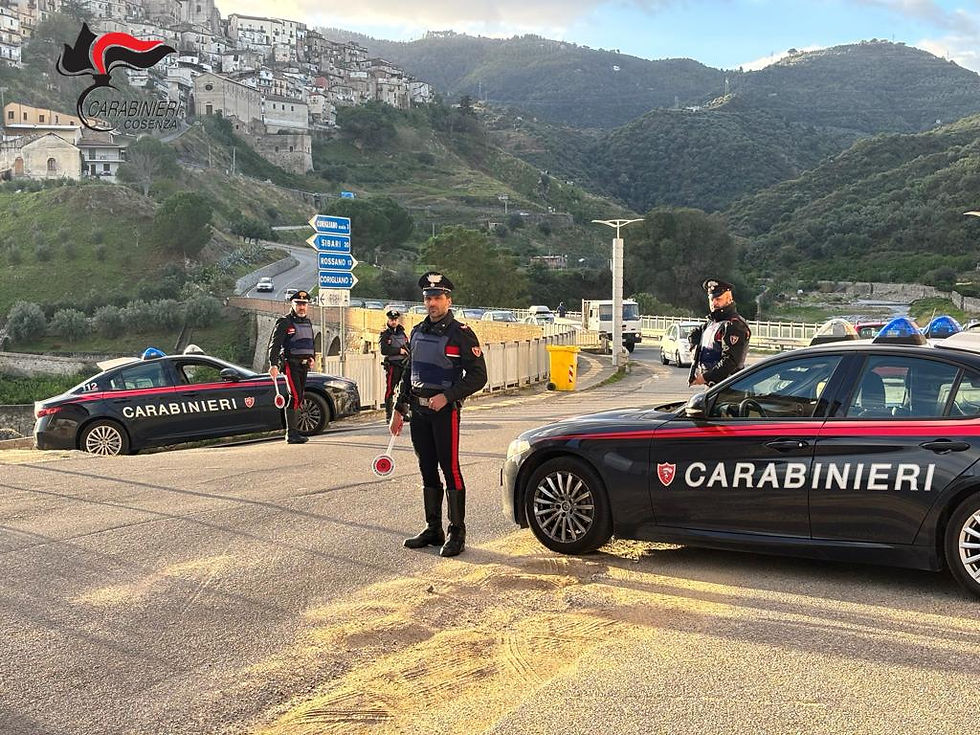 Boscarello, a Corigliano Rossano, i carabinieri intervengono a difesa di un uomo aggredito e percosso per una rapina, un arresto