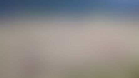 Diamante, la tartaruga depone le uova alla "Guardiola"