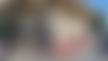 Santa Maria del Cedro: ordinanza di chiusura e sgombero del "Summer day" 