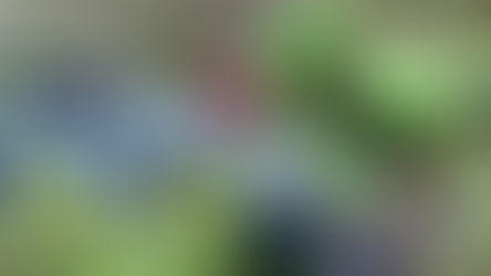 E' morto l'uomo scomparso sabato ad Aiello Calabro, trovato in un precipizio