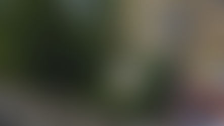 Corigliano Rossano, rapina da 49mila euro al Monte dei Paschi di Siena