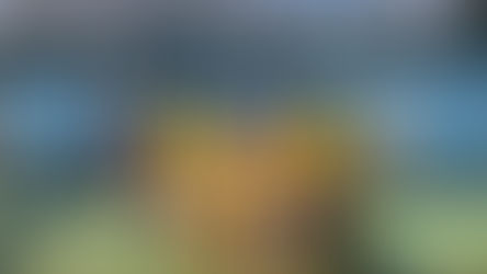 Scalea, volley: un buon inizio per la squadra femminile. Vittoria con il Diamante