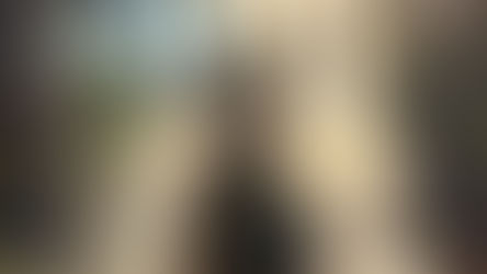 Città che legge: riconoscimento a Belvedere Marittimo