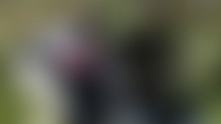 Carabinieri Forestali ispezionano un'area recintata a fondo naturale piena di rifiuti ingombranti, elettrodomestici e carcasse d'auto
